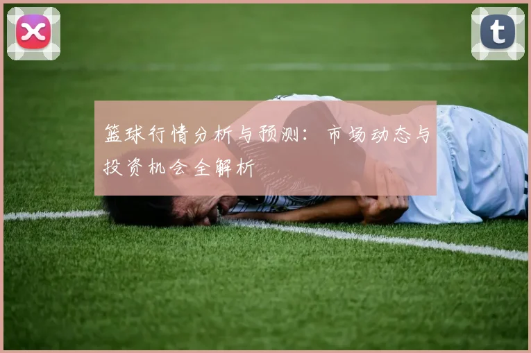 篮球行情分析与预测：市场动态与投资机会全解析