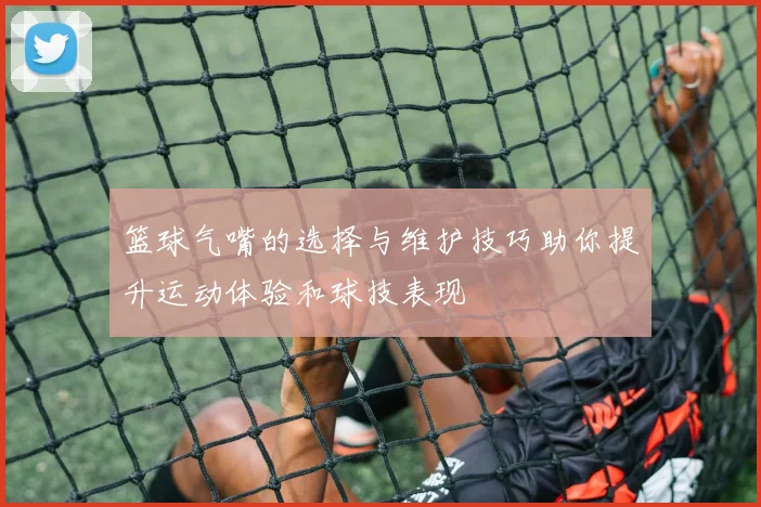 篮球气嘴的选择与维护技巧助你提升运动体验和球技表现
