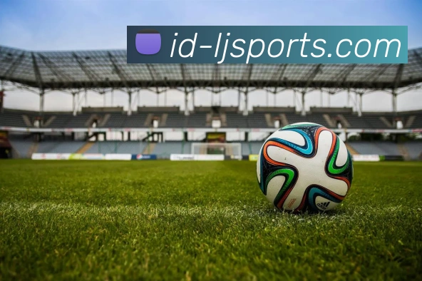 乐竟平台平台生态图